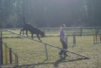 /album/galerie-photos/agility-2009-audrey-jpg/